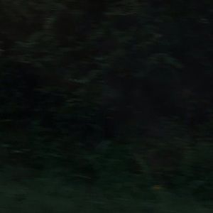 Meet your Posher, Jewel